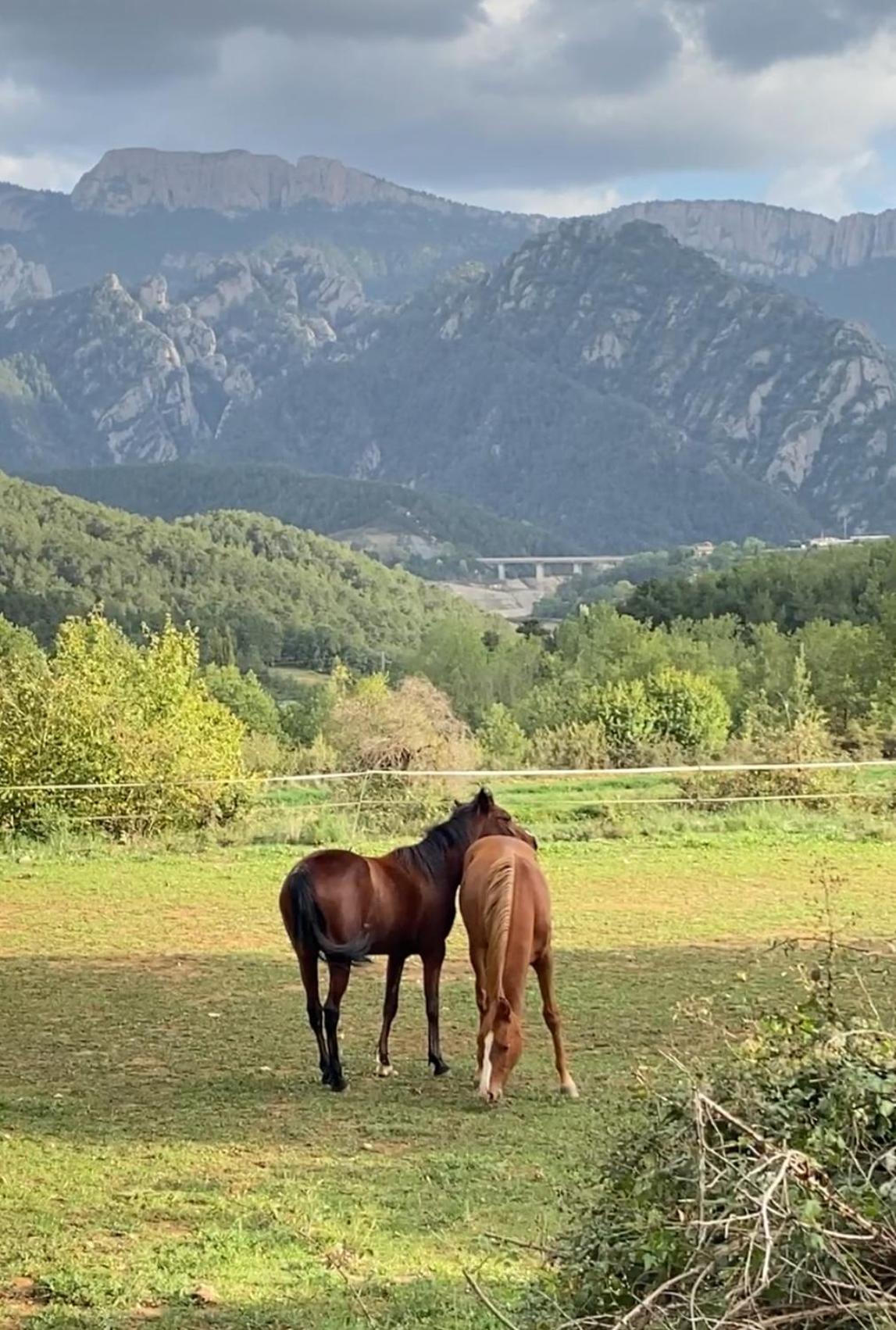 Alberg Rural Torre Del Baro Sant Llorenç de Morunys Zewnętrze zdjęcie